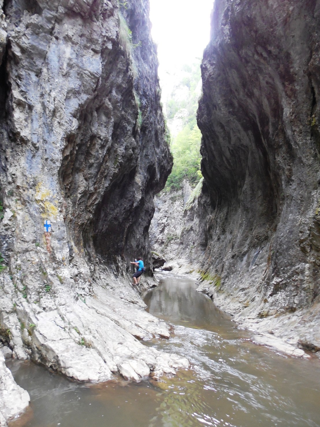 moldovenesti 112.jpg